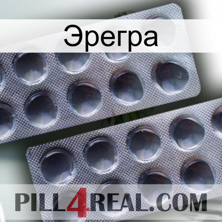 Эрегра 31